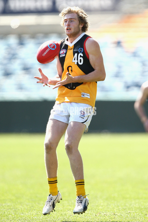 TAC CUP 2017 2nd Preliminary Final - Geelong Falcons v Dandenong Stingrays - 551342