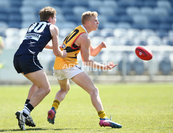 TAC CUP 2017 2nd Preliminary Final - Geelong Falcons v Dandenong Stingrays - 551356