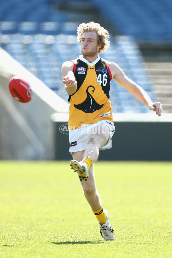 TAC CUP 2017 2nd Preliminary Final - Geelong Falcons v Dandenong Stingrays - 551347