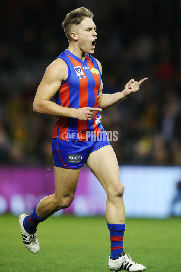 VFL 2017 Grand Final - Port Melbourne v Richmond - 553297