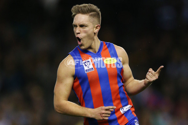 VFL 2017 Grand Final - Port Melbourne v Richmond - 553296