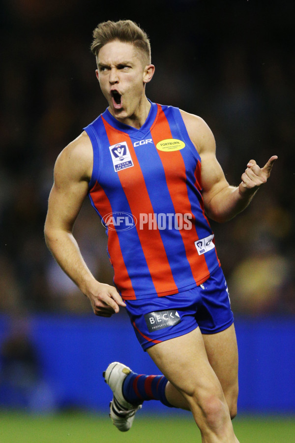 VFL 2017 Grand Final - Port Melbourne v Richmond - 553293