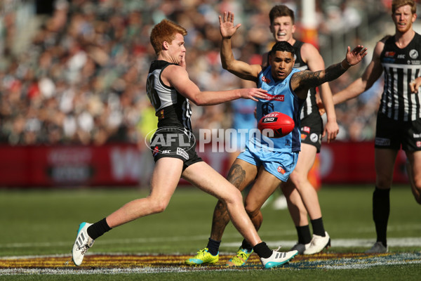 SANFL 2017 Grand Final - Port Adelaide Magpies v Sturt - 553407