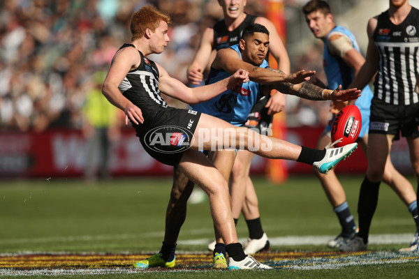 SANFL 2017 Grand Final - Port Adelaide Magpies v Sturt - 553408