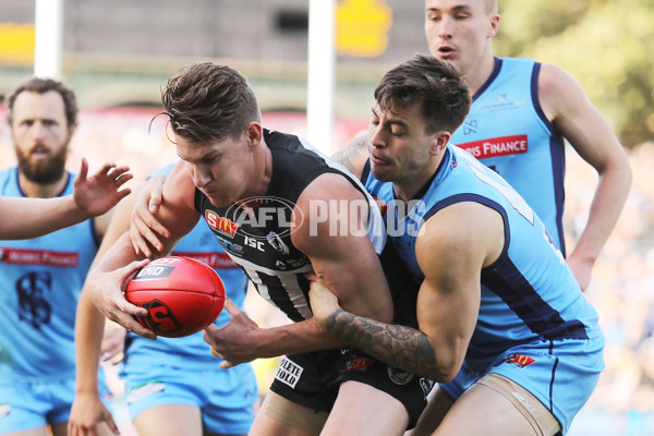 SANFL 2017 Grand Final - Port Adelaide Magpies v Sturt - 553422