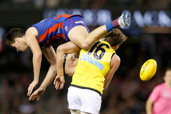 VFL 2017 Grand Final - Port Melbourne v Richmond - 553419