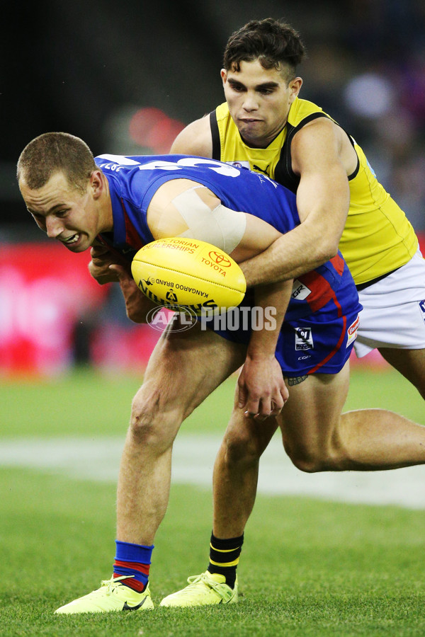 VFL 2017 Grand Final - Port Melbourne v Richmond - 553470