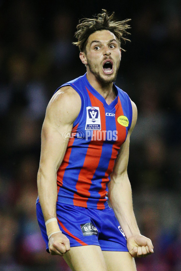 VFL 2017 Grand Final - Port Melbourne v Richmond - 553471