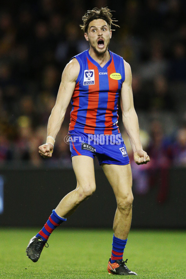 VFL 2017 Grand Final - Port Melbourne v Richmond - 553472