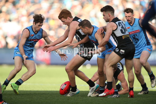 SANFL 2017 Grand Final - Port Adelaide Magpies v Sturt - 553487