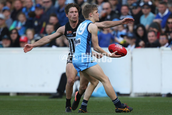 SANFL 2017 Grand Final - Port Adelaide Magpies v Sturt - 553442