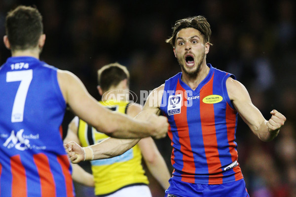 VFL 2017 Grand Final - Port Melbourne v Richmond - 553475