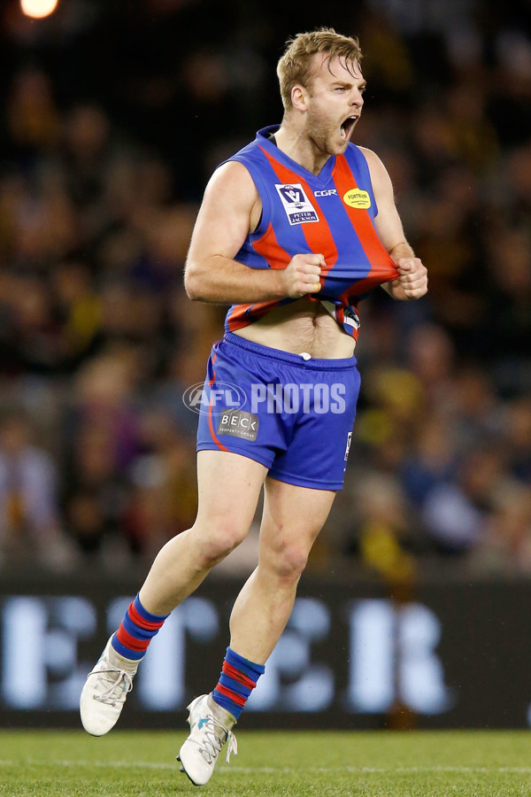 VFL 2017 Grand Final - Port Melbourne v Richmond - 553522