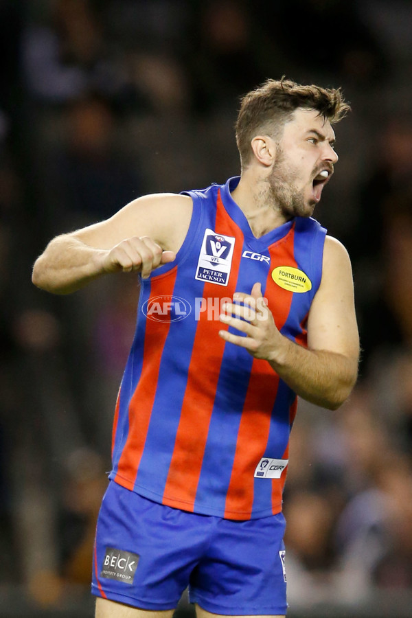 VFL 2017 Grand Final - Port Melbourne v Richmond - 553526