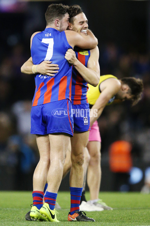 VFL 2017 Grand Final - Port Melbourne v Richmond - 553596