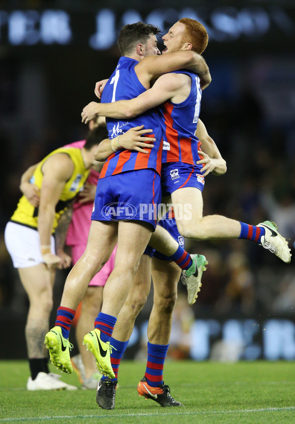 VFL 2017 Grand Final - Port Melbourne v Richmond - 553597