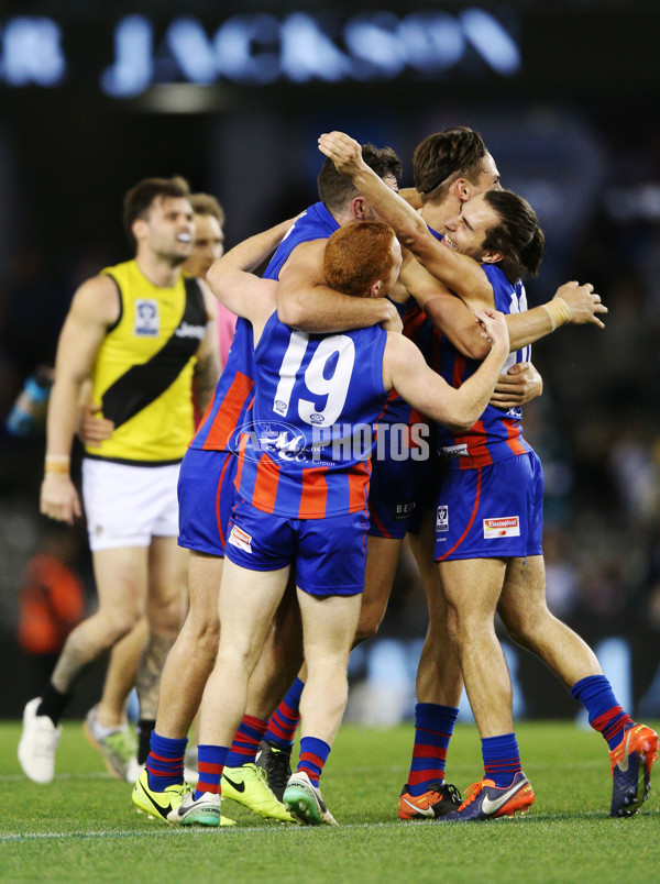 VFL 2017 Grand Final - Port Melbourne v Richmond - 553607