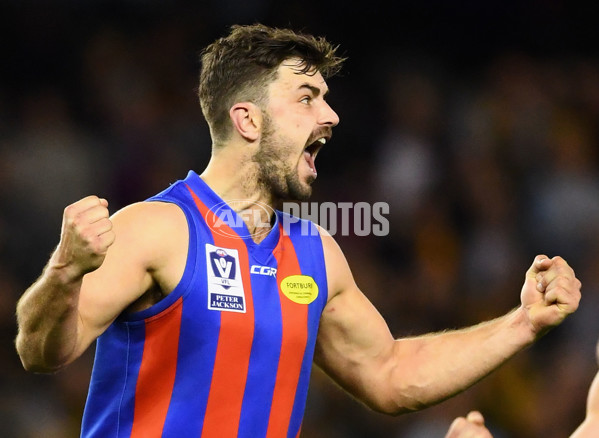 VFL 2017 Grand Final - Port Melbourne v Richmond - 553641