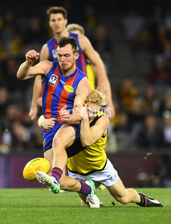 VFL 2017 Grand Final - Port Melbourne v Richmond - 553525