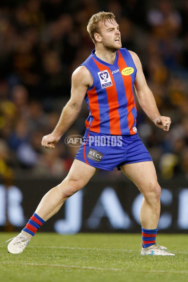 VFL 2017 Grand Final - Port Melbourne v Richmond - 553521