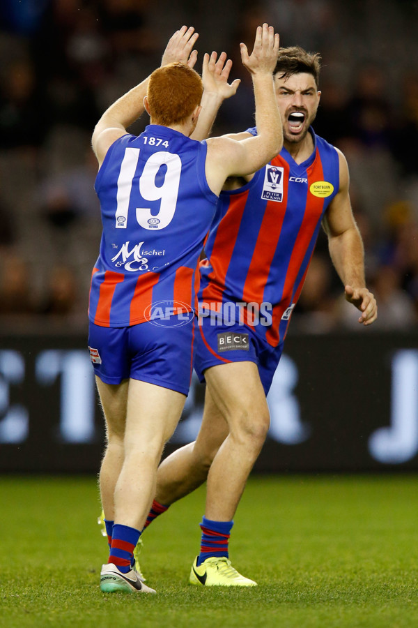 VFL 2017 Grand Final - Port Melbourne v Richmond - 553528