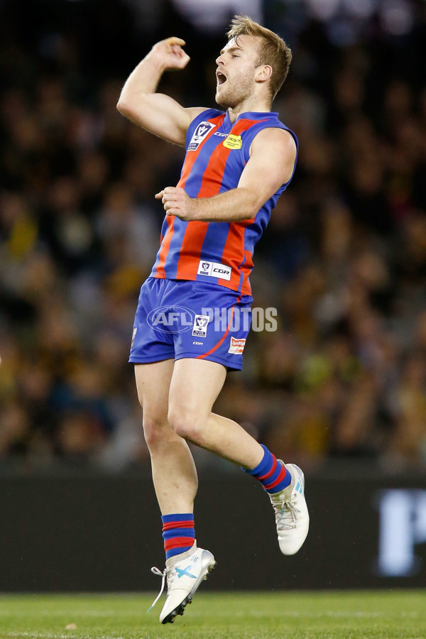 VFL 2017 Grand Final - Port Melbourne v Richmond - 553524