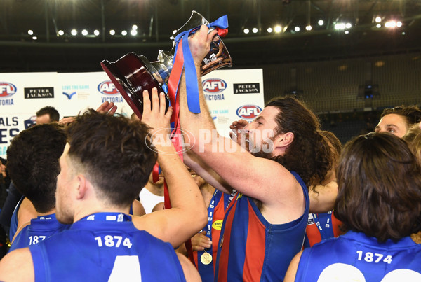 VFL 2017 Grand Final - Port Melbourne v Richmond - 553558