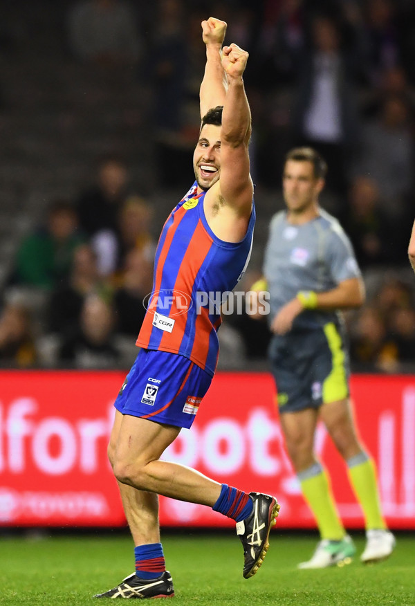 VFL 2017 Grand Final - Port Melbourne v Richmond - 553560