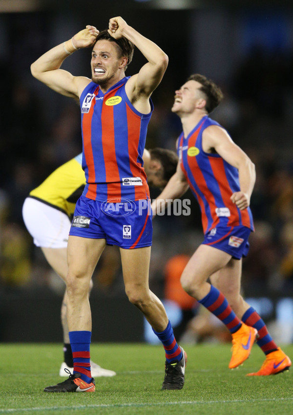 VFL 2017 Grand Final - Port Melbourne v Richmond - 553589