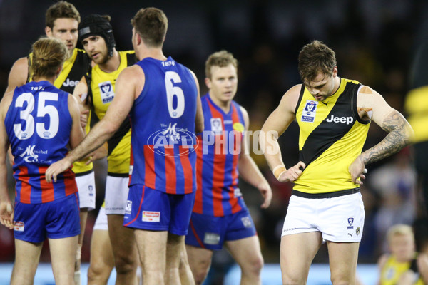 VFL 2017 Grand Final - Port Melbourne v Richmond - 553617