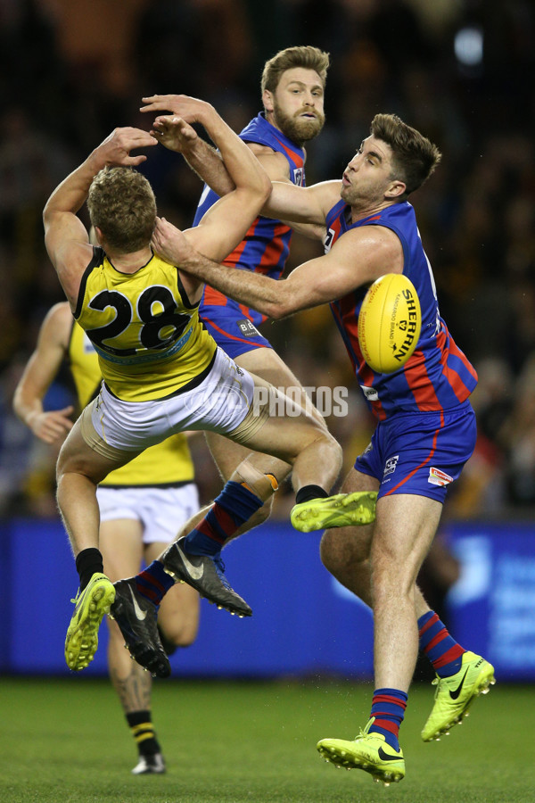 VFL 2017 Grand Final - Port Melbourne v Richmond - 553701