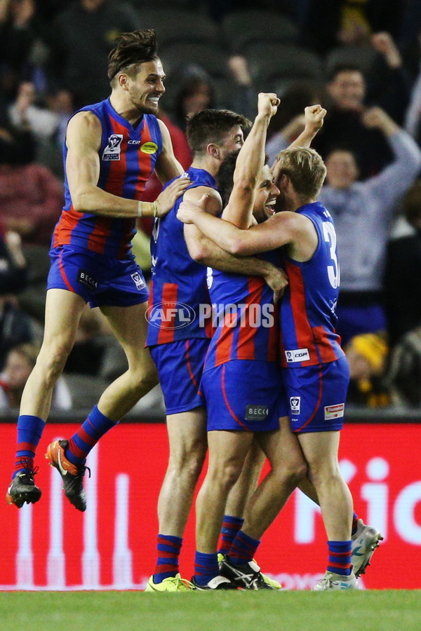 VFL 2017 Grand Final - Port Melbourne v Richmond - 553700