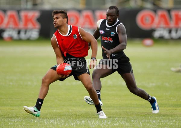 AFL 2018 Training - Port Adelaide 100118 - 564474