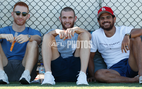 AFL 2018 Training - Hawthorn Intra-club - 567380