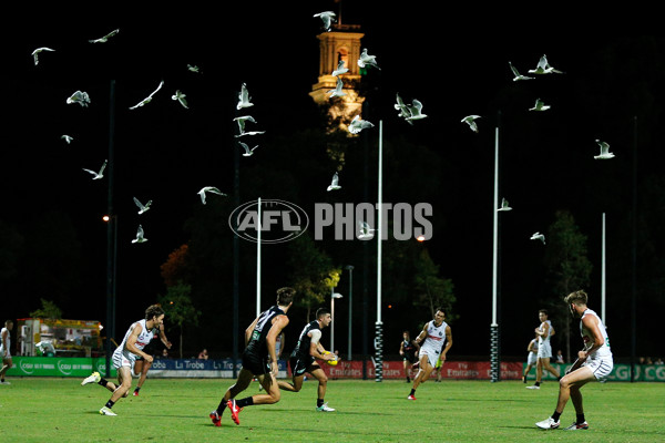 AFL 2018 Training - Collingwood 220118 - 570616