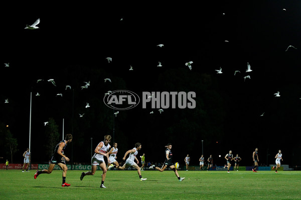 AFL 2018 Training - Collingwood 220118 - 570617