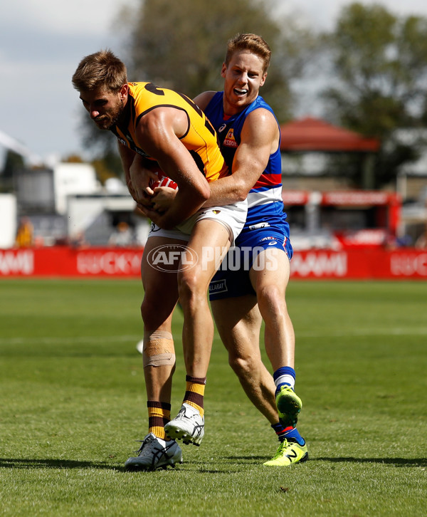 AFL 2018 JLT Community Series - Western Bulldogs v Hawthorn - 572348