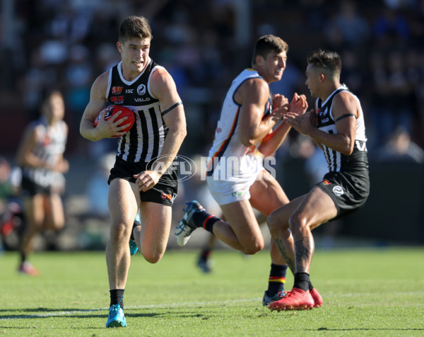 SANFL 2018 Round 01 - Port Adelaide v Adelaide - 578656