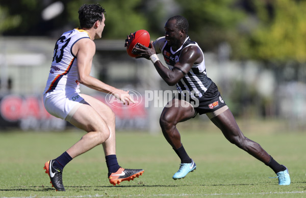 SANFL 2018 Round 01 - Port Adelaide v Adelaide - 579087