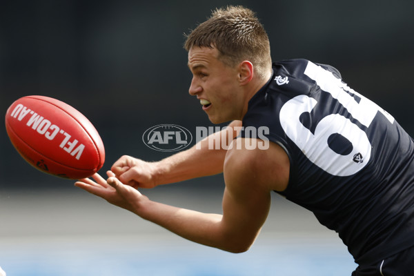 VFL 2023 Round 07 - Carlton v Brisbane - A-31376453