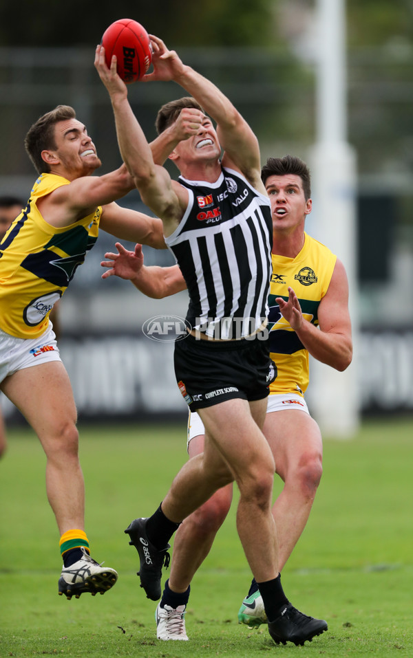 SANFL 2018 Round 03 - Port Adelaide v Eagles - 582508