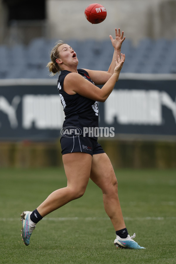 VFLW 2023 Round 07 - Carlton v Casey - A-31439645