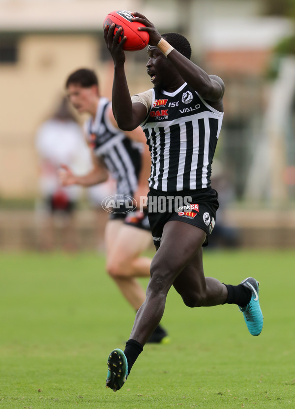 SANFL 2018 Round 03 - Port Adelaide v Eagles - 583139