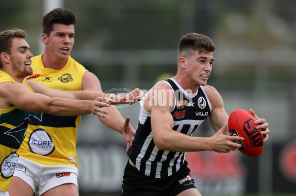 SANFL 2018 Round 03 - Port Adelaide v Eagles - 583135