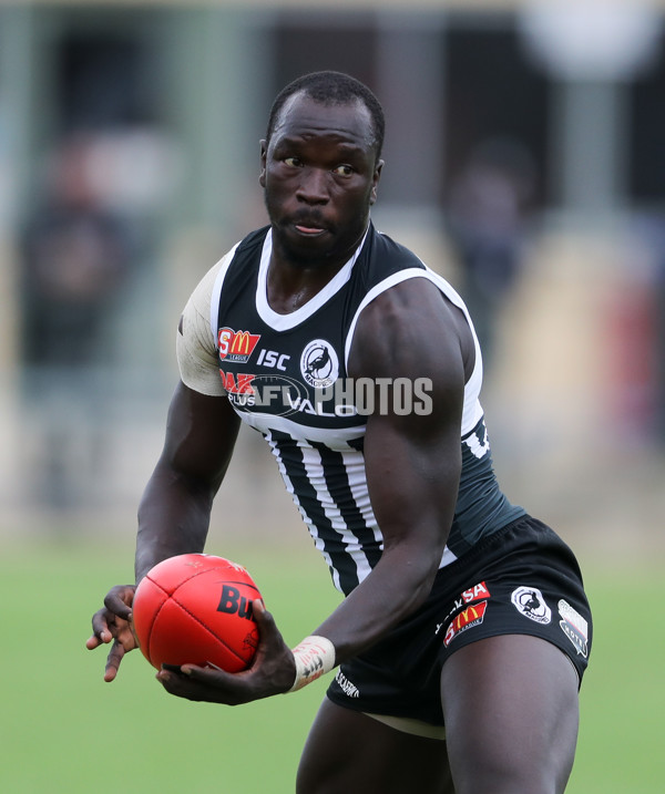 SANFL 2018 Round 03 - Port Adelaide v Eagles - 583130