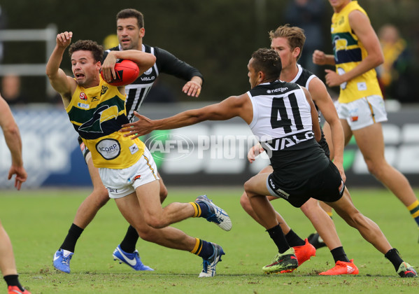 SANFL 2018 Round 03 - Port Adelaide v Eagles - 583129