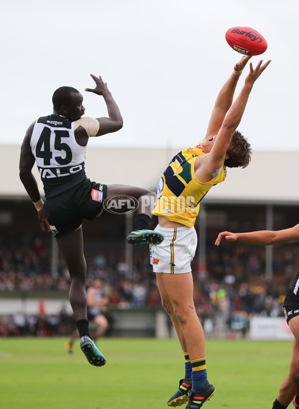 SANFL 2018 Round 03 - Port Adelaide v Eagles - 583143