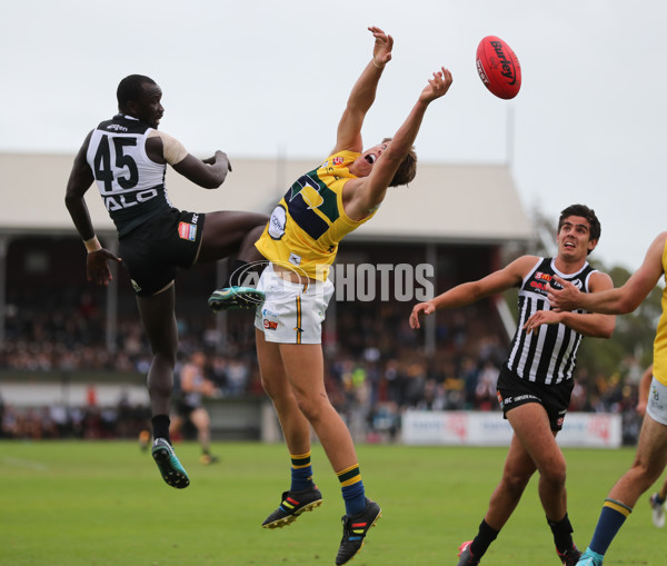 SANFL 2018 Round 03 - Port Adelaide v Eagles - 583144