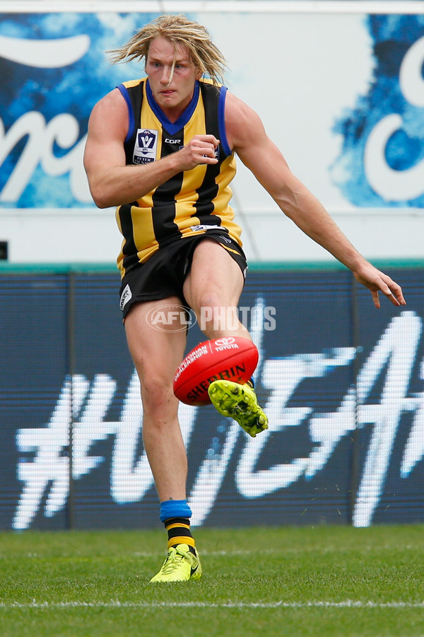 VFL 2018 Round 02 - Geelong v Sandringham - 583284