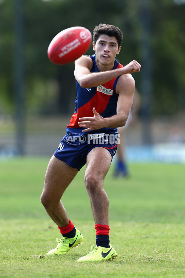 VFL 2018 Round 04 - Coburg v North Melbourne - 587439